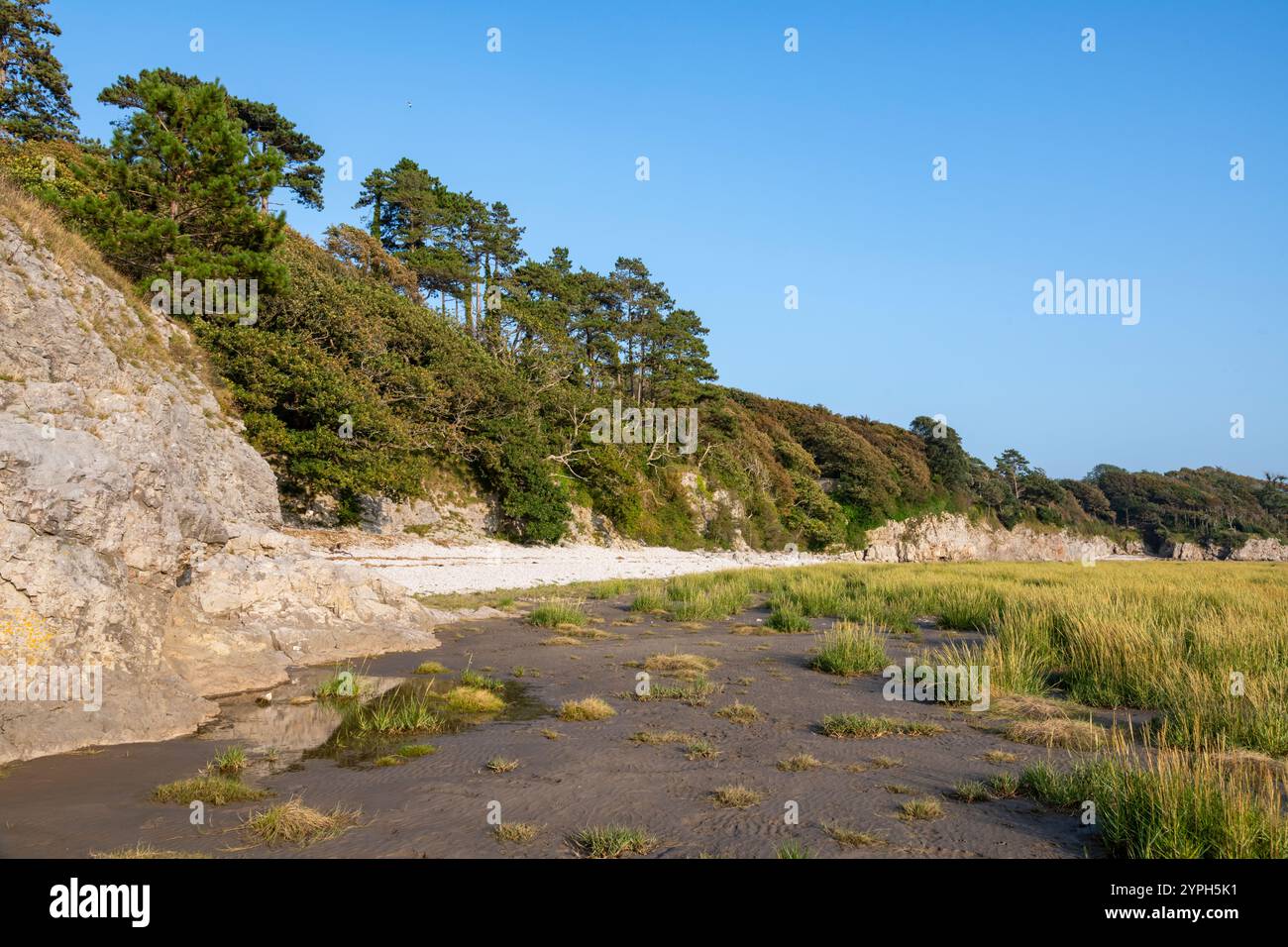 Ebbe in Silverdale am Rande der Morecambe Bay an der Küste von Lancashire, England. Stockfoto