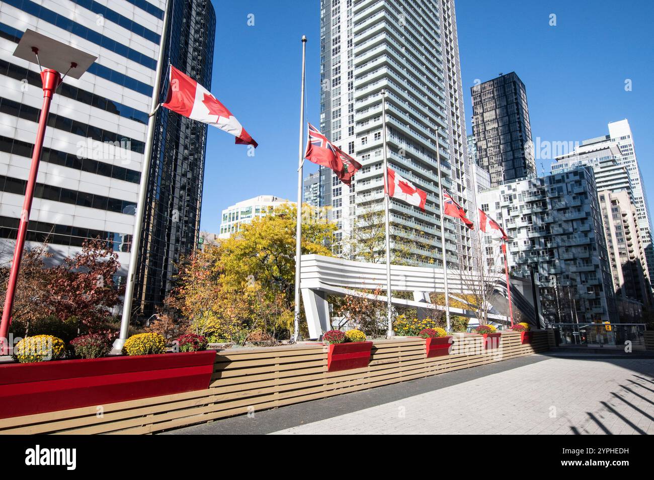 Kanadische und Ontario-Flaggen in einem Garten am CN Tower am Bremner Boulevard in der Innenstadt von Toronto, Ontario, Kanada Stockfoto