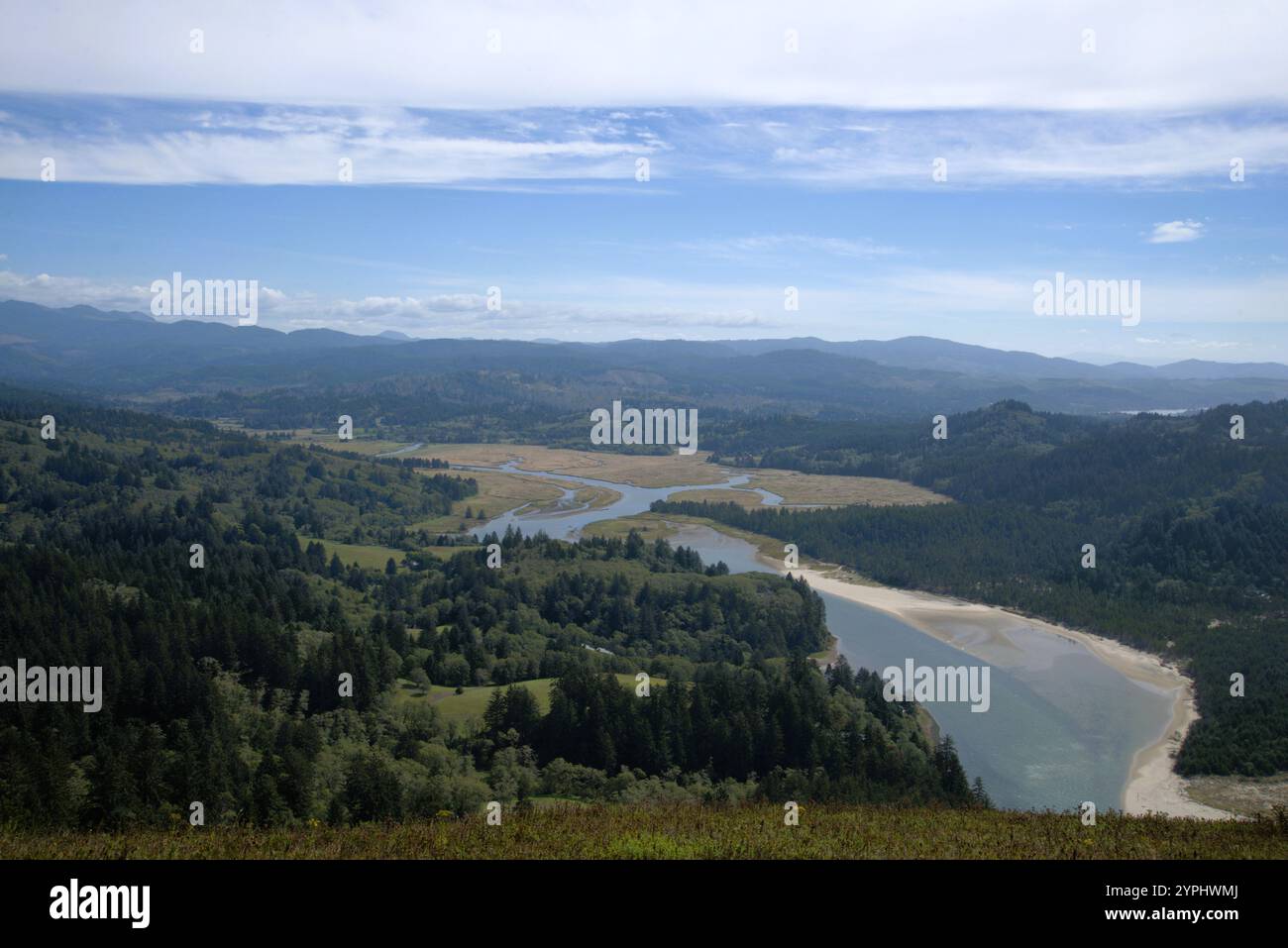 Der Three Rocks River schlängelt sich an einem klaren, sonnigen Tag durch dichte Kiefernwälder zurück in die Pacific Coast Range mit einigen grasbewachsenen Hängen. Stockfoto