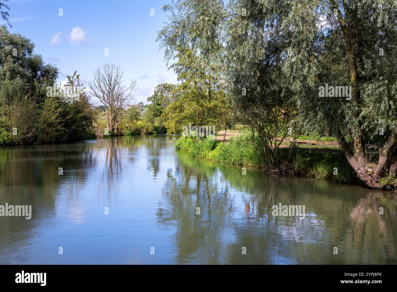 Fluss Canche in Montreuil-sur-Mer im Sommer, Pas-de-Calais, Hauts-de-france Stockfoto