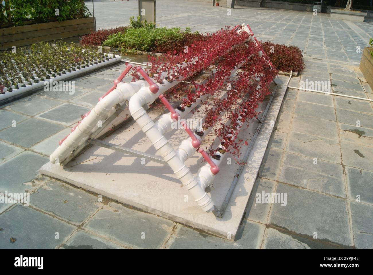 Landschaft des Shenzhen International Garden und Flower Expo Park Stockfoto