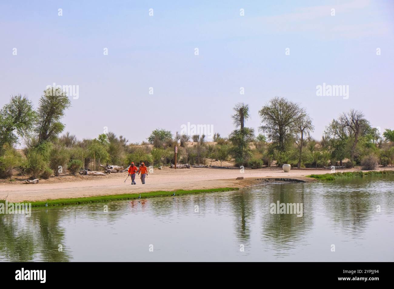 Zwei männliche Helfer des Schutzgebietes gehen nach der Flamingofütterung in den Al Qudra Lakes, Al Marmoom Desert Conservation Reserve Stockfoto