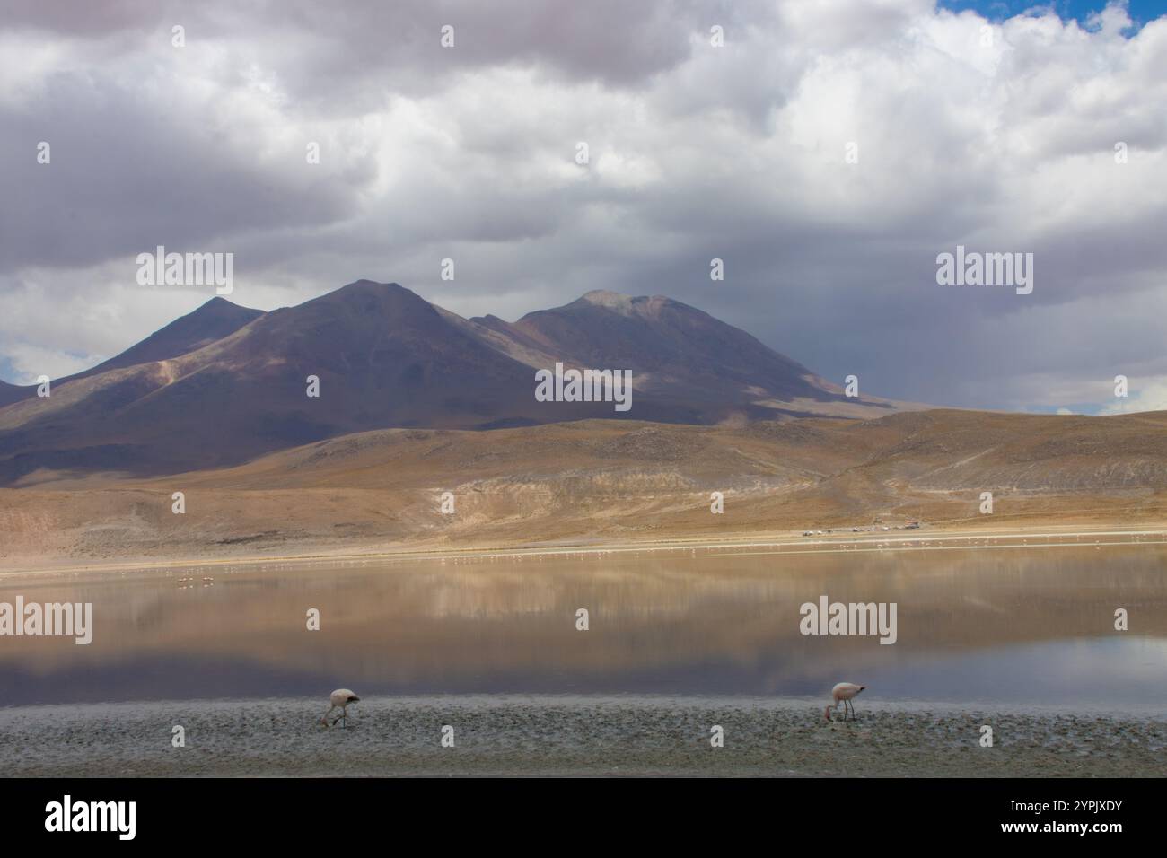Eine atemberaubende Wüstenlandschaft im bolivianischen Altiplano mit trockenen Ebenen, majestätischen Bergen und einem weiten, klaren blauen Himmel in ruhiger Abgeschiedenheit Stockfoto