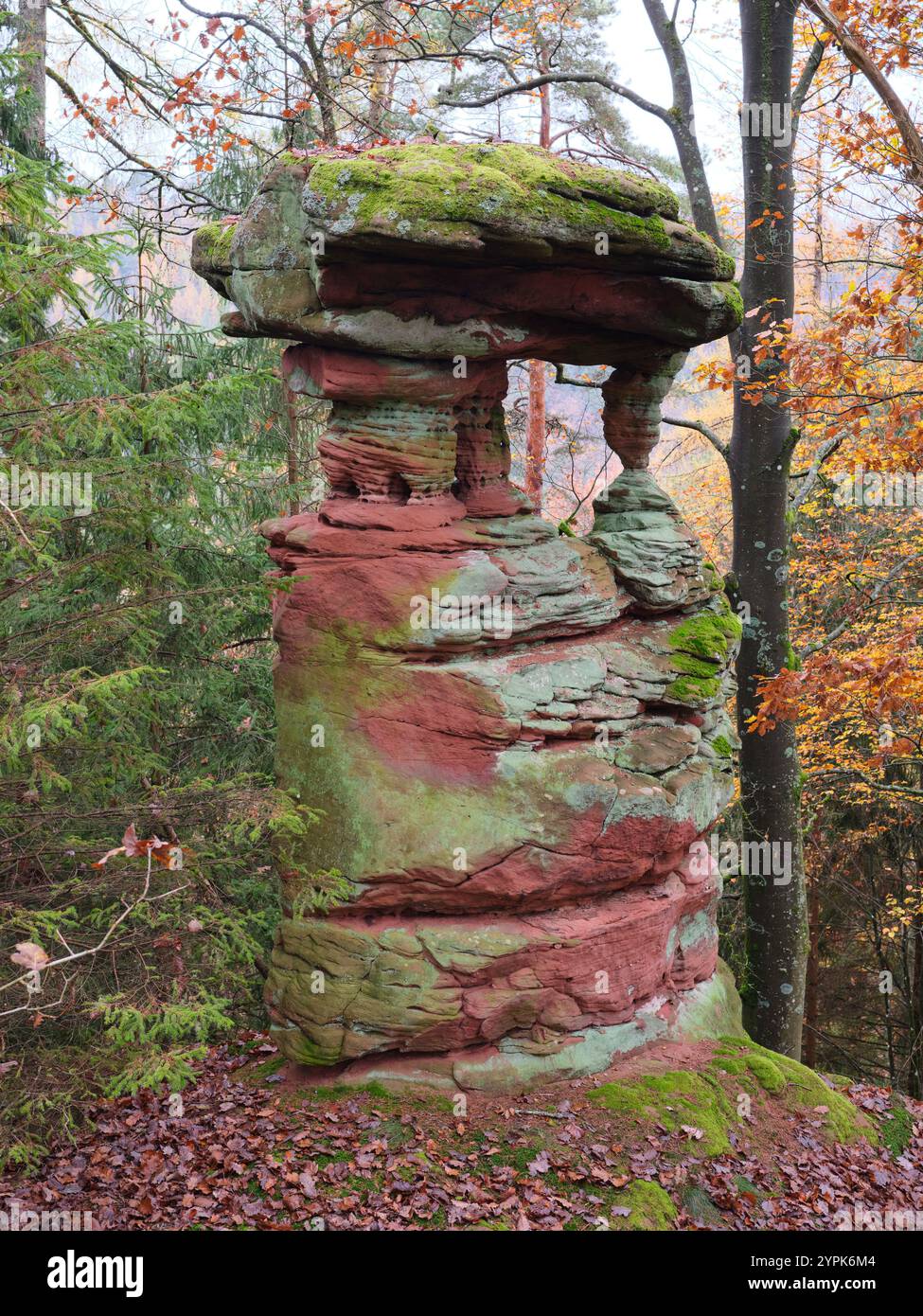 Aus DER VOGELPERSPEKTIVE von einem 6-Meter-Hubgerüst. Interessante Felsformation auf dem Kleinen Hundskopf in den Vogesen. Sturzelbronn, Grand Est, Frankreich. Stockfoto