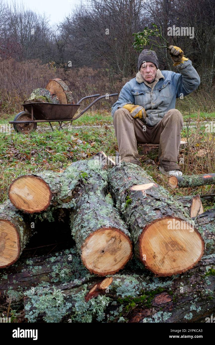 Ein älterer Mann sitzt zwischen Baumstämmen, die er geschnitten hat, während er Mistel über Kopf hält, während er Kuss-Konzept allein einsames weihnachten bläst Stockfoto