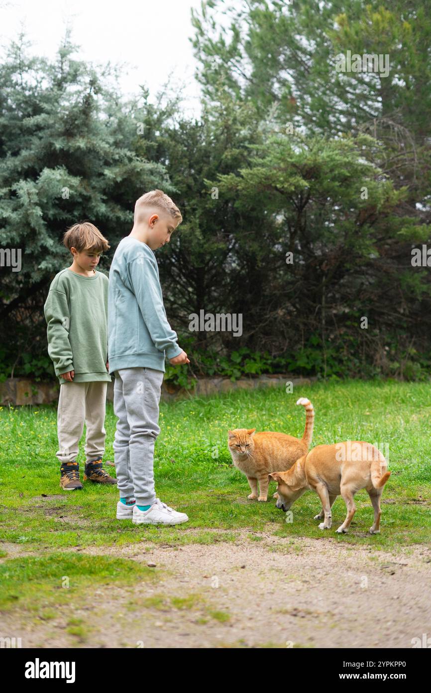 Zwei Kinder mit Hund und Katze schenken ihnen Leckereien Stockfoto