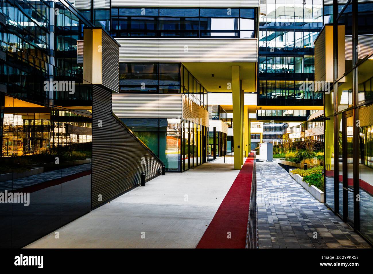 Moderner architektonischer Gang mit Glasfassaden, reflektierenden Oberflächen und minimalistischer Landschaftsgestaltung Stockfoto