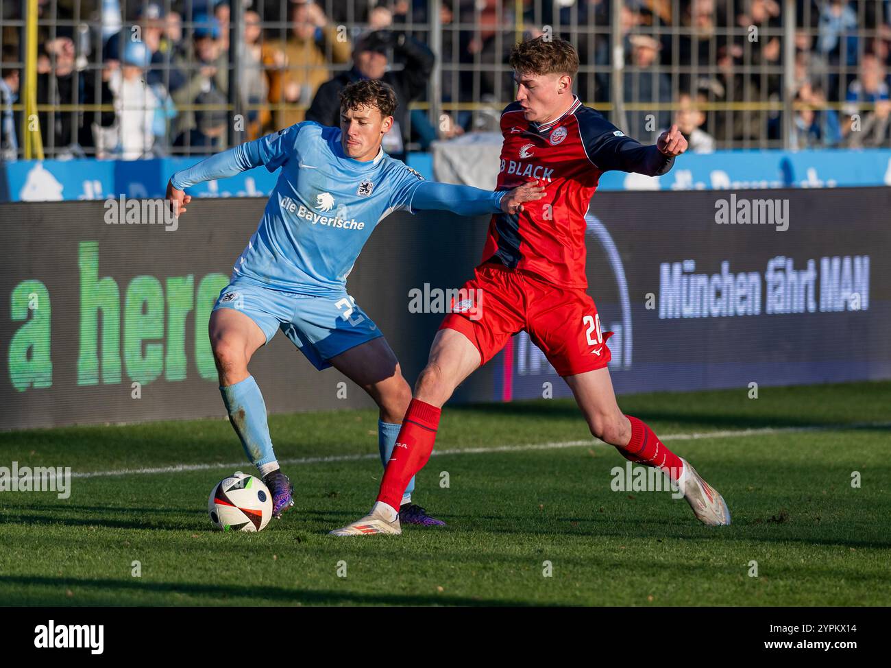 Kampf um den Ball / Zweikampf zwischen Lukas Reich (TSV 1860 München, #20) mit Ryan Naderi (FC Hansa Rostock, #20). GER, TSV 1860 München gegen den FC Hansa Rostock, Fussball, 3. Bundesliga, 16. Spieltag, Saison 2024/2025, 30.11.2024. (DIE DFL-DFB-VORSCHRIFTEN VERBIETEN DIE VERWENDUNG VON FOTOS ALS BILDSEQUENZEN UND/ODER QUASI-VIDEO). Foto: Eibner-Pressefoto/Heike Feiner Stockfoto