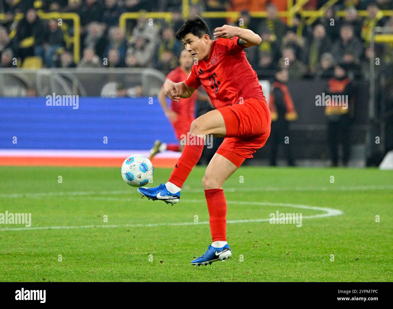 Signal Iduna Park Dortmund Deutschland, 30.11.2024, Fußball: l Bundesliga Saison 2024/25 Spieltag 12, Borussia Dortmund (BVB, gelb) vs FC Bayern München (FCB, rot) — Min-Jae Kim (FCB) Stockfoto