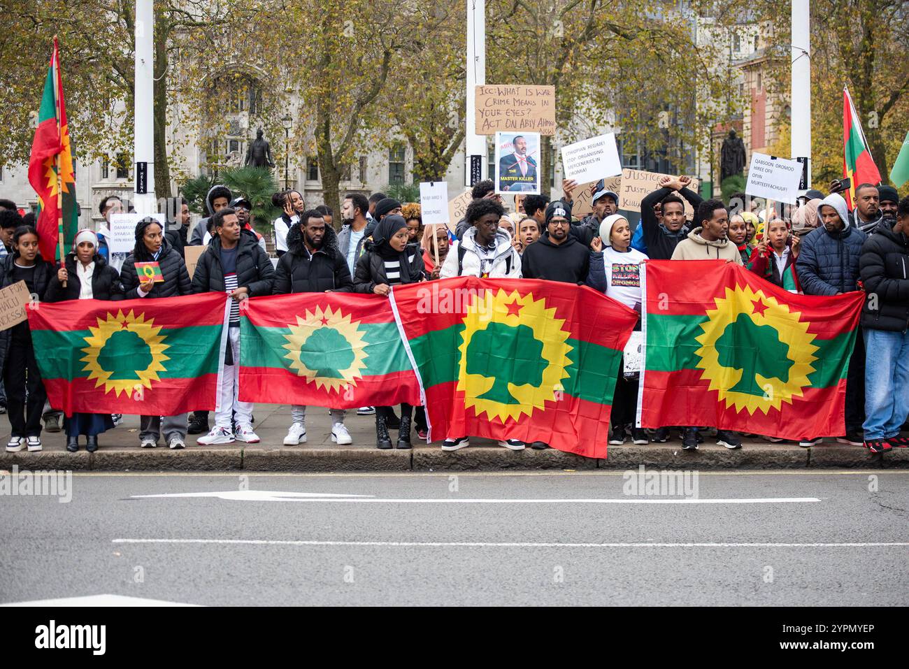 London, England, Großbritannien. November 2024 30. Eine große Gruppe von Anhängern der Oromo Liberation Front protestierte auf dem Parliament Square in London. Demonstranten forderten Gerechtigkeit für den verstorbenen Battee Urgeessaa, der ein politischer Offizier der Oromo war. Die Demonstranten wollen, dass der äthiopische Premierminister Amiy Ahmed den Krieg gegen Oromos beendet. Schließlich wollen sie ein unabhängiges Land werden und Äthiopien verlassen. (Kreditbild: © Krisztian Elek/ZUMA Press Wire) NUR REDAKTIONELLE VERWENDUNG! Nicht für kommerzielle ZWECKE! Quelle: ZUMA Press, Inc./Alamy Live News Stockfoto