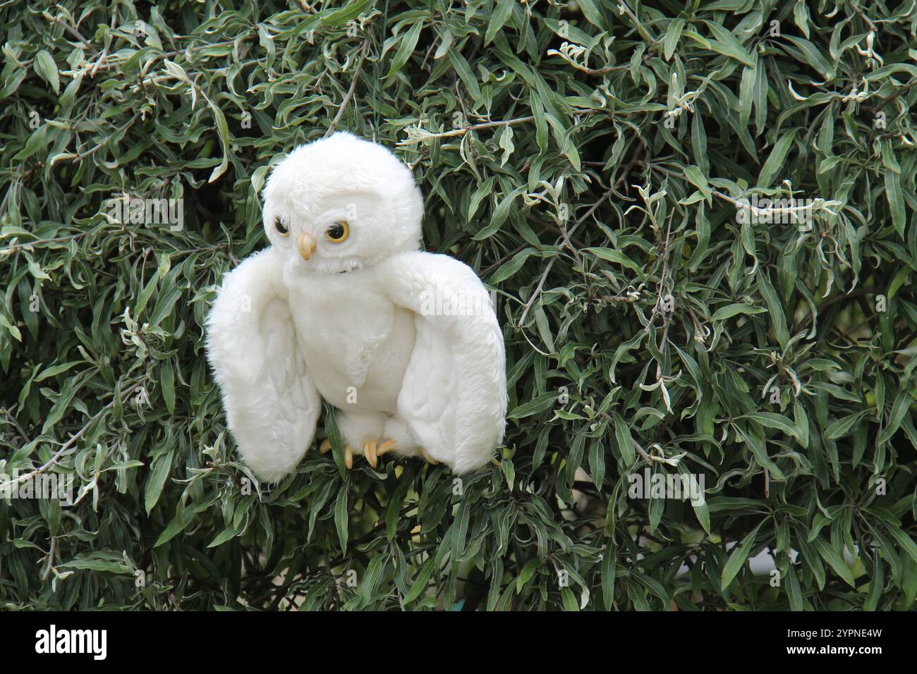 Ein flauschiges Eulen-Spielzeugmodell auf einer grünen Hecke im Freien. Stockfoto