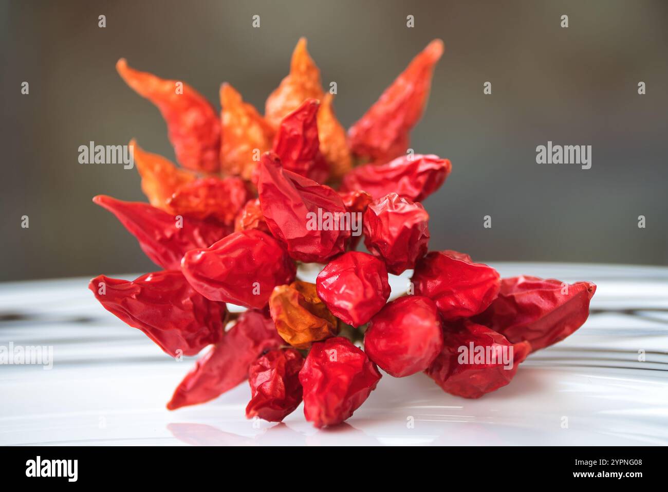 Rote, heiße Paprika für scharfe Speisen, für traditionelle Küche rote, heiße Chili Stockfoto