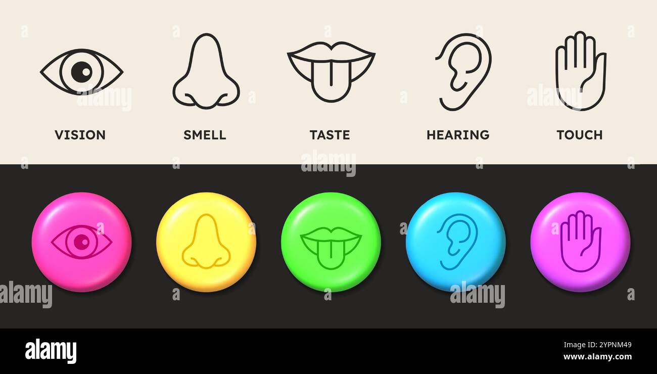SENSE-Symbole. Fünf Sinnesorgane im minimalen Linienstil. Farbabzeichen für die Wahrnehmung. Menschliche Hand und Zunge symbolisieren Berührung. Sehvermögen. Riecht Stock Vektor