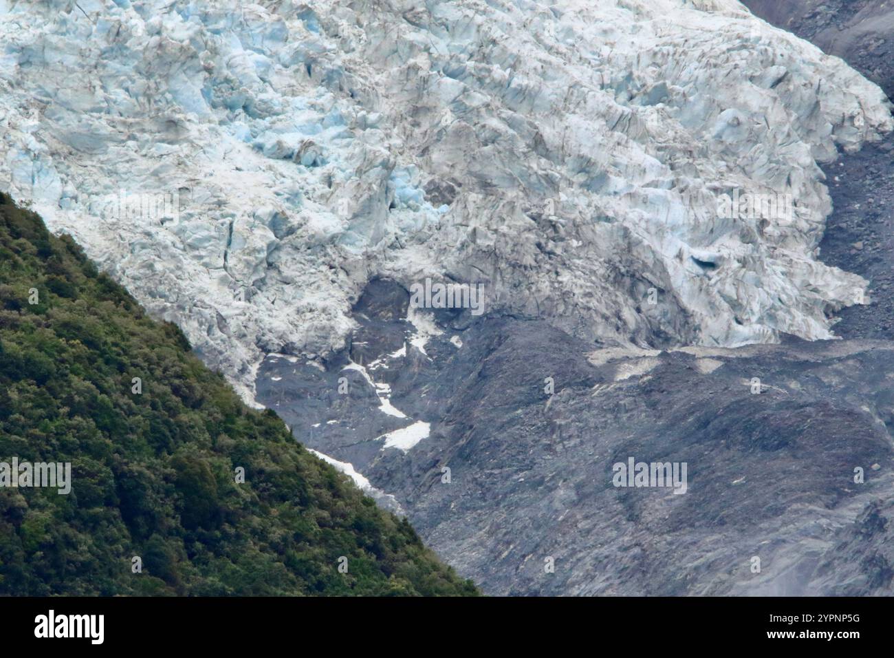 Franz Josef Glacier, Neuseeland Stockfoto