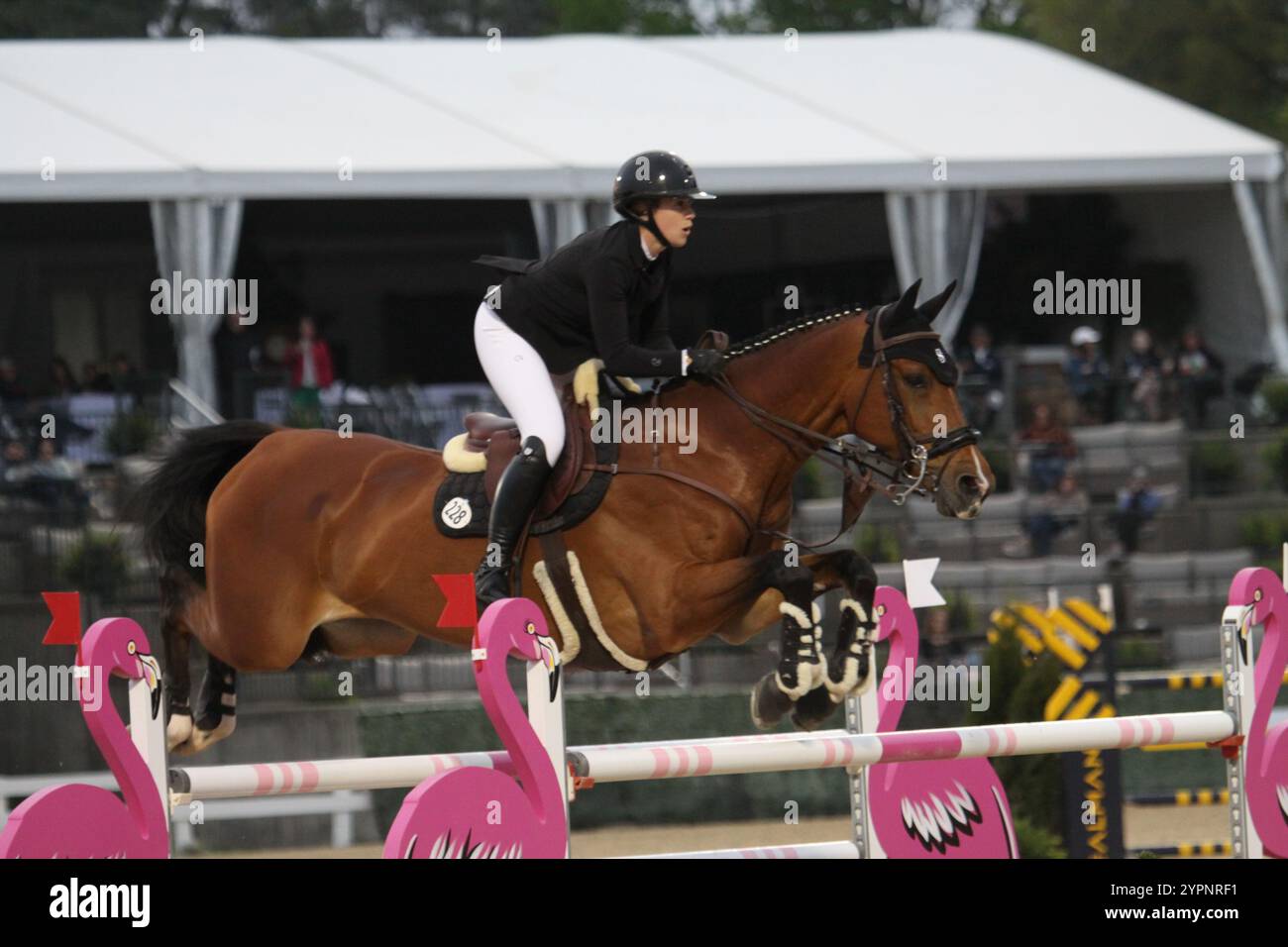 Kentucky einladungs grand prix 2025 Fotos und Bildmaterial in hoher