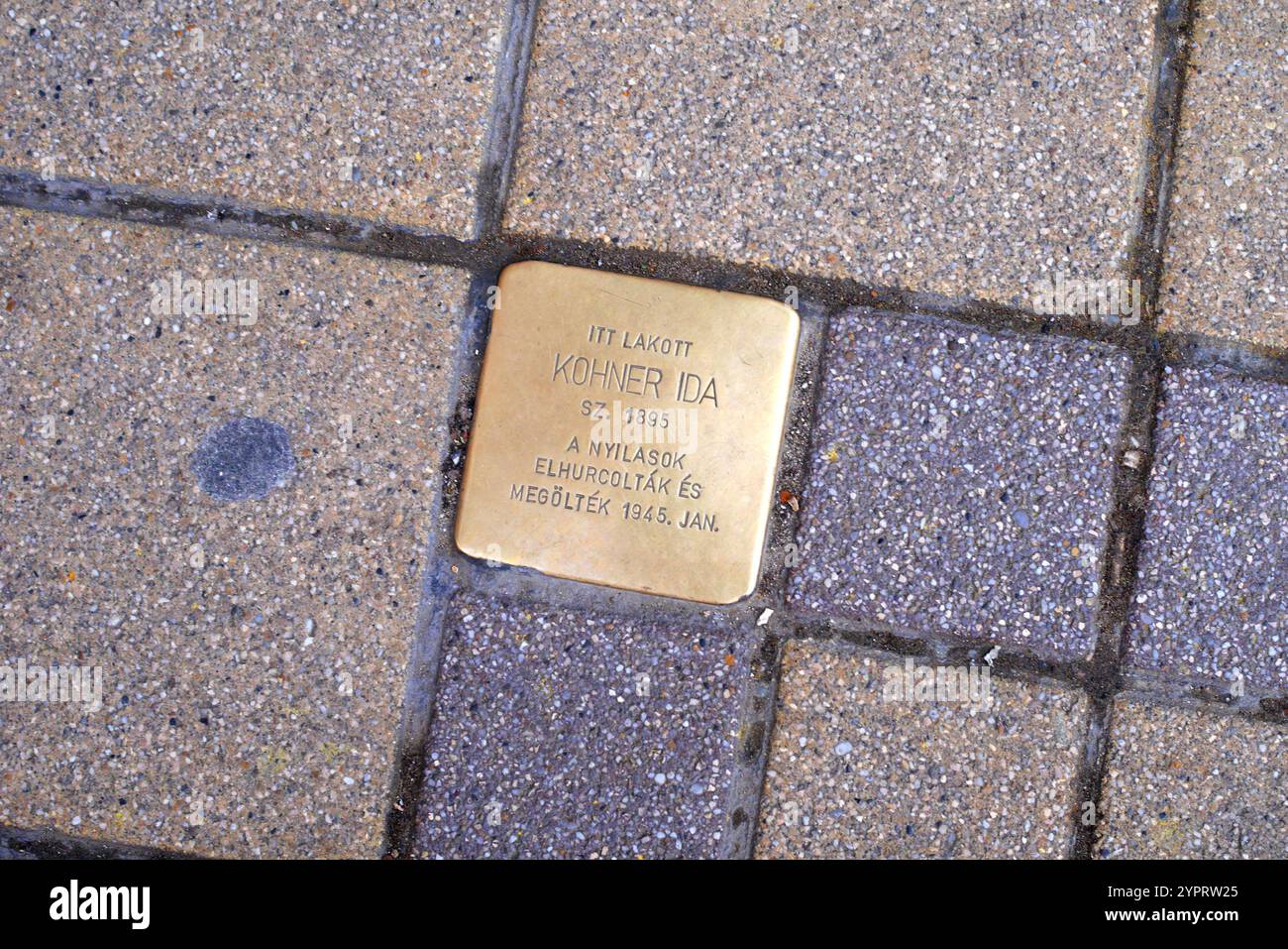 Stolpersteine (Stolperstein, botlatókő) an Ida Kohner, eine im Holocaust getötete Jüdin, Raday utca 8, Bezirk IX, Budapest, Ungarn Stockfoto