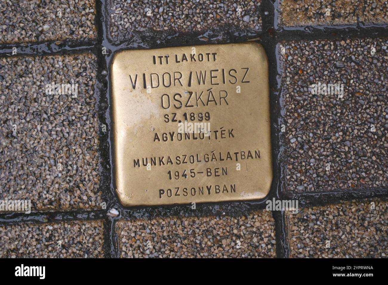 Stolpersteine (Stolperstein, botlatókő) an Oszkar Vidor Weisz, einen Juden, der im Holocaust getötet wurde, Raday utca 25, Bezirk IX, Budapest, Ungarn Stockfoto