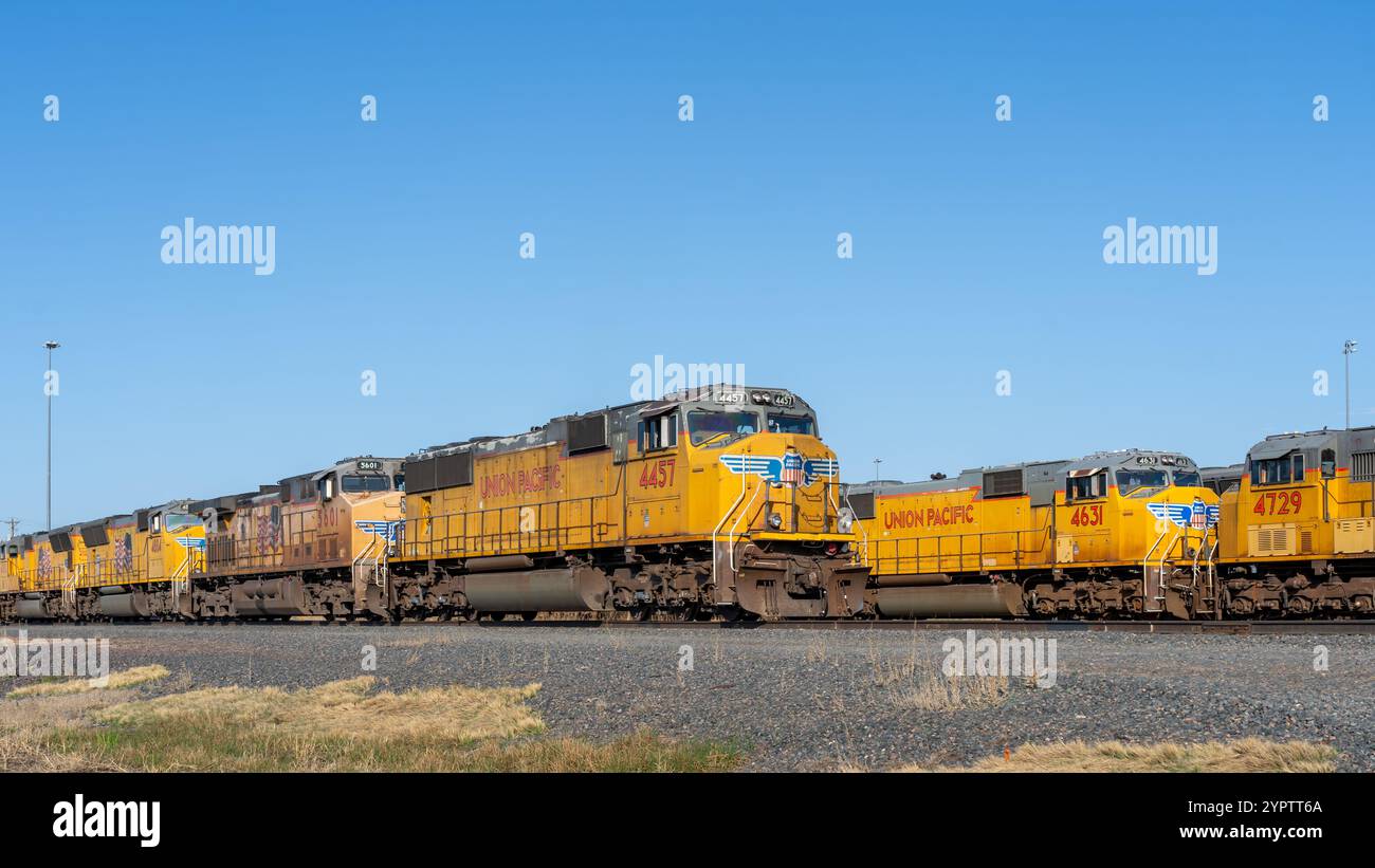 Bailey Yard von Union Pacific vom Golden Spike Tower in North Platte, NE, USA Stockfoto