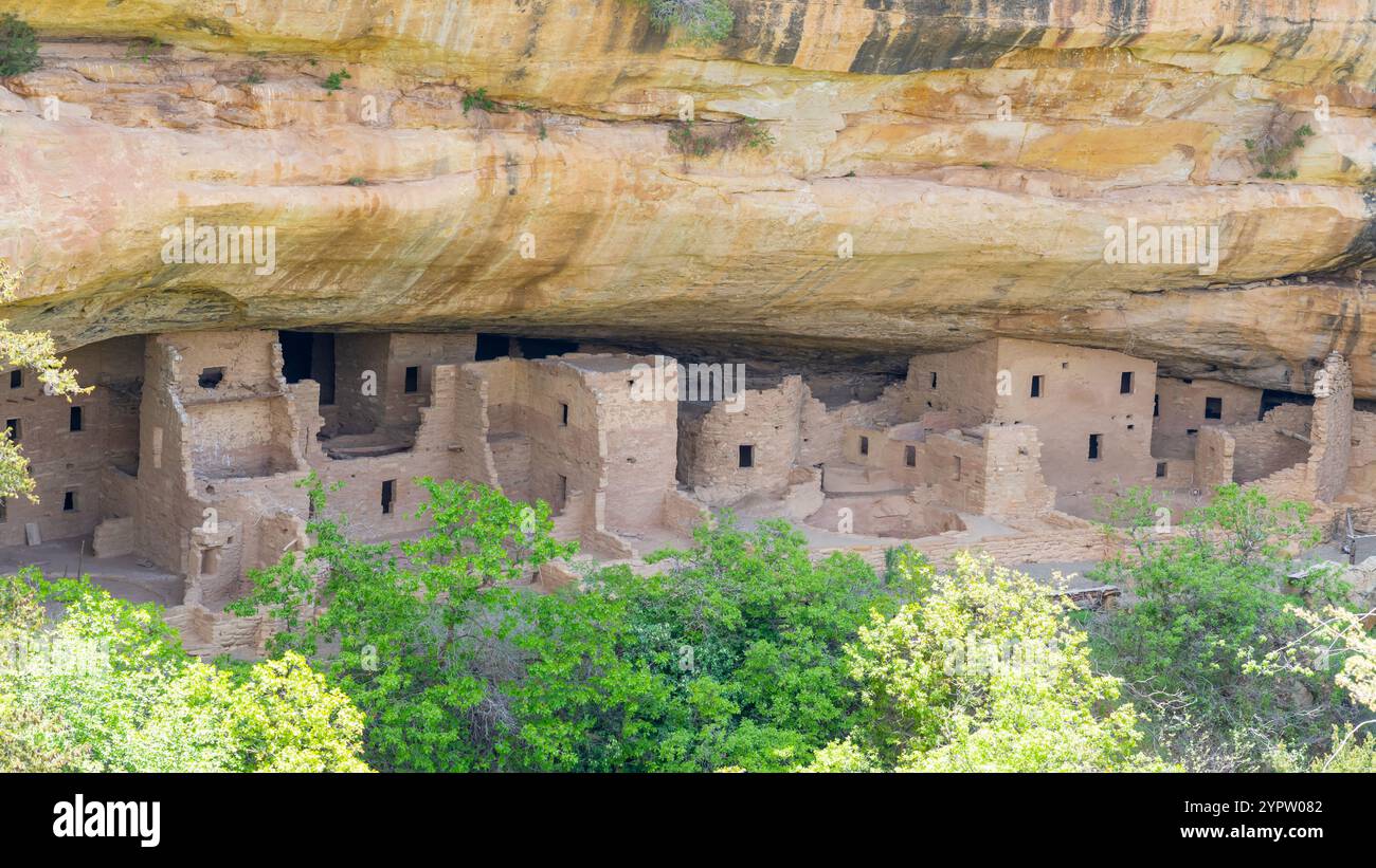 Fichtenbaumhaus im Mesa Verde National Park in Colorado, USA Stockfoto