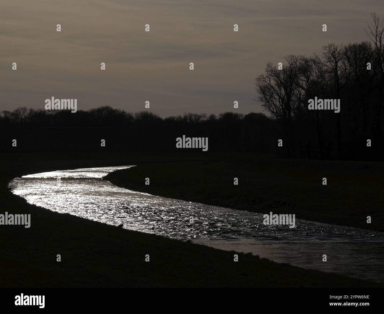 Im Auenwald bei Leipzig: Die Luppe im Abendlicht. Sachsen, Deutschland, Europa Stockfoto