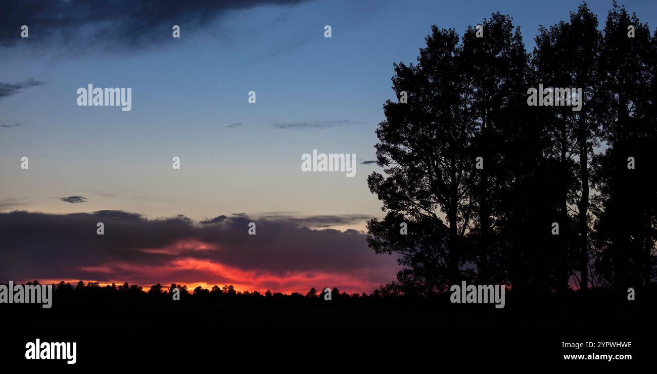5. JULI 2020, Hastings Mesa, Colorado, USA - Sonnenuntergang auf Hastings Mesa Colorado, Aspen Grove Stockfoto