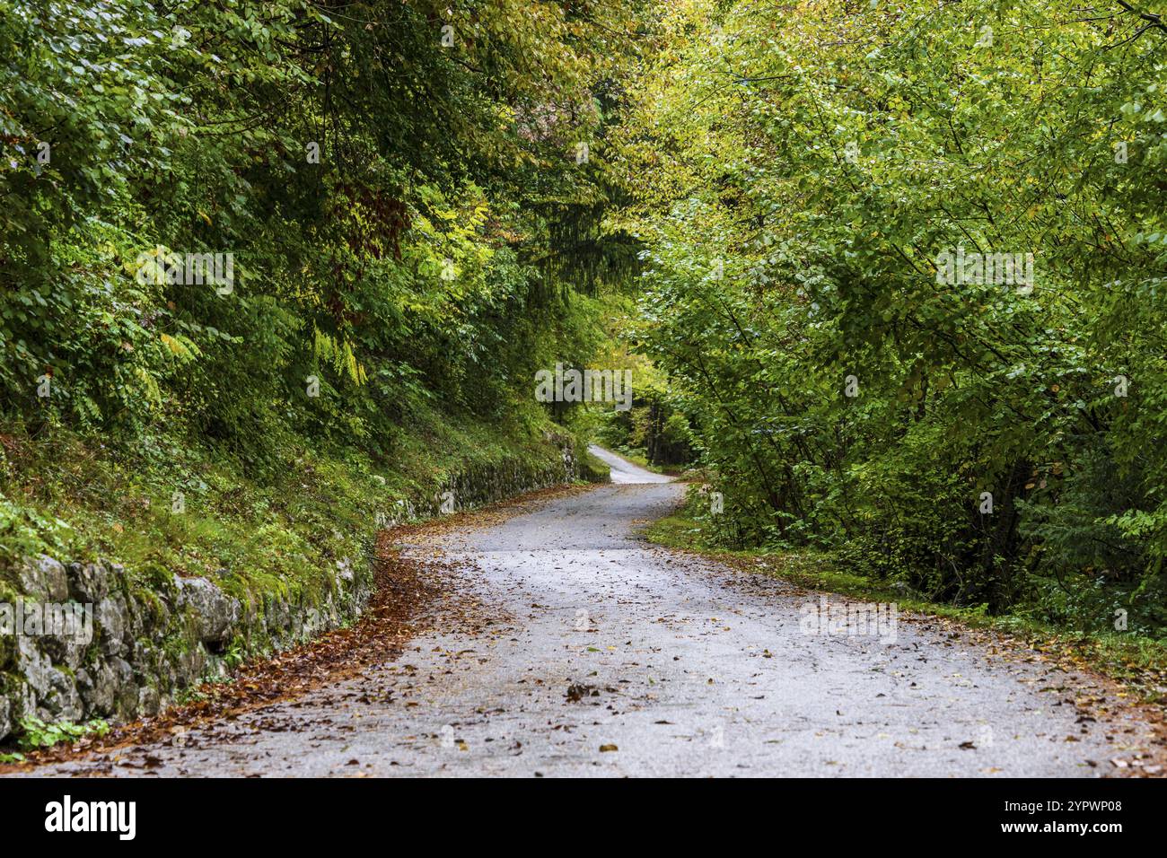 BAV?ica Valley Road im Triglav Nationalpark, Bovec, Julischen Alpen. Slowenien, Mitteleuropa Stockfoto