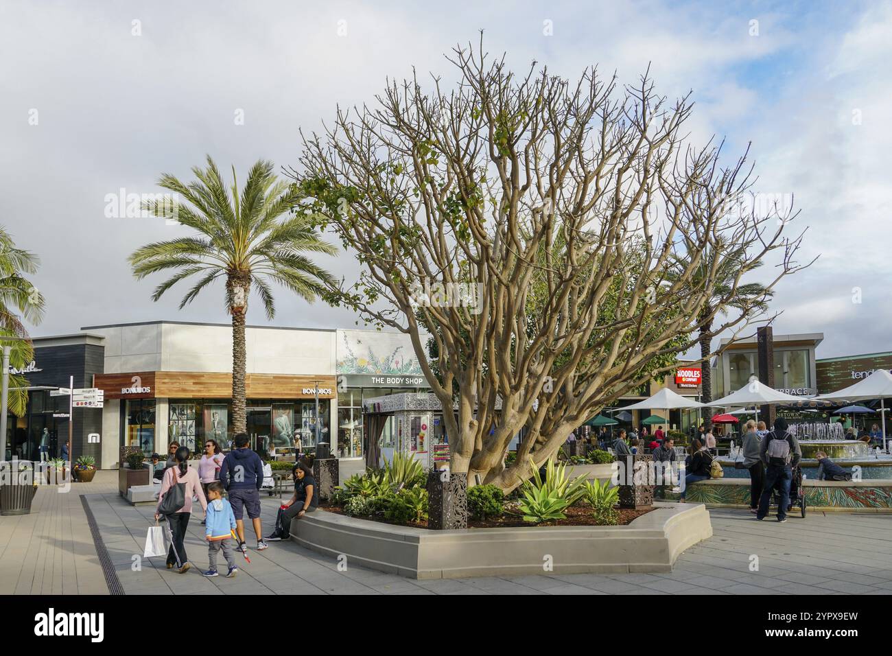 UTC Westfield Shopping Mall im University Town Centre. Einkaufszentrum im Freien mit exklusiven Einzelhändlern, einem Kino und Restaurants. La Jolla, S Stockfoto