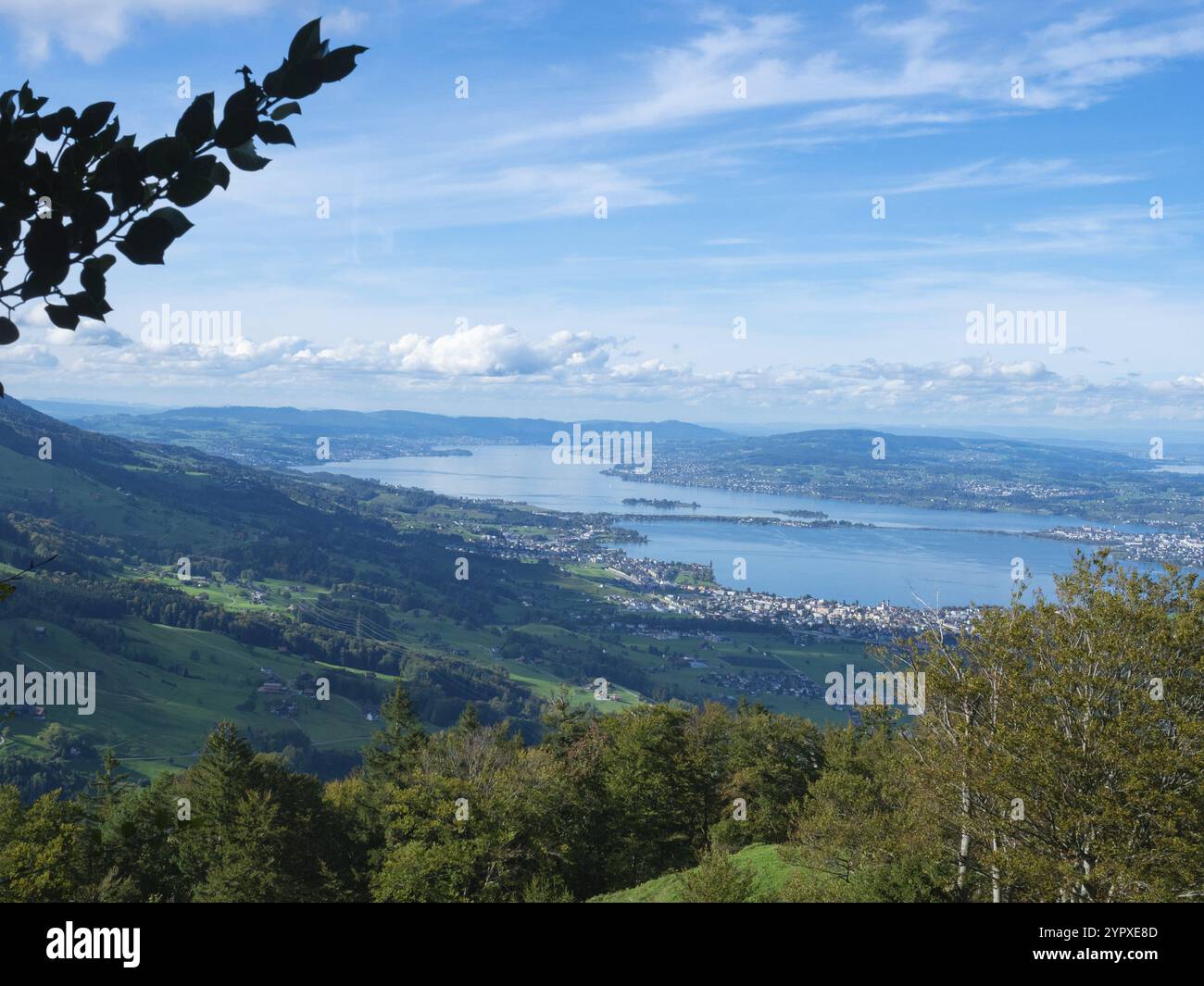 Wunderschöner Blick vom Stockberg auf den Zürichsee an einem sonnigen Herbsttag Stockfoto