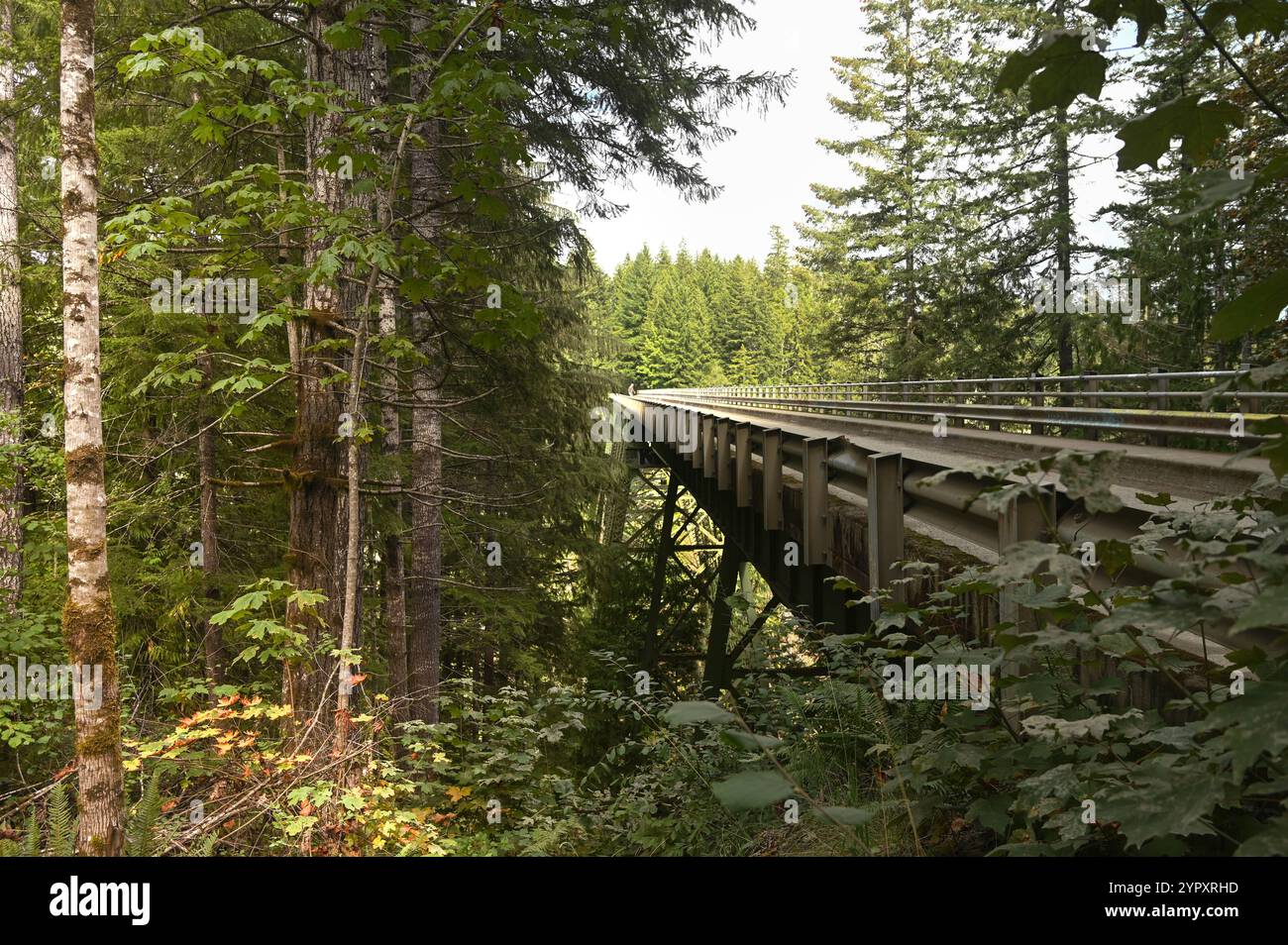 Historische High Steel Bridge in der Nähe von Shelton WA Stockfoto