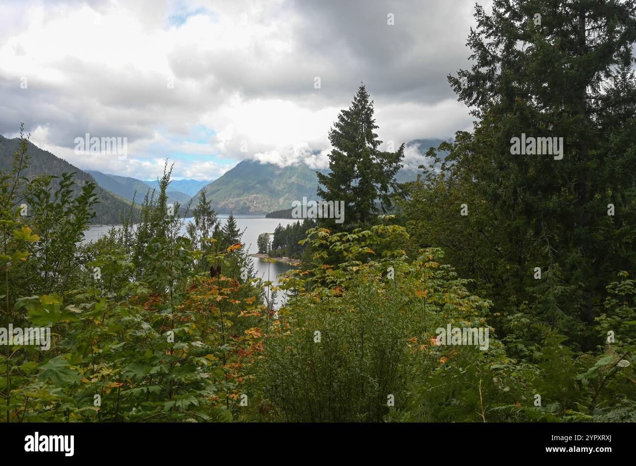 Blick auf Lake Cushman, mit den Olympischen Bergen im Hintergrund. Stockfoto