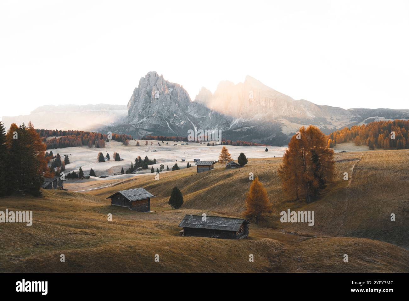 Ruhiger alpiner Sonnenaufgang: Erleben Sie die atemberaubende Schönheit von Herbstbäumen, majestätischen Bergen, lebhaften Herbstfarben und frühen schneebedeckten Gipfeln Stockfoto