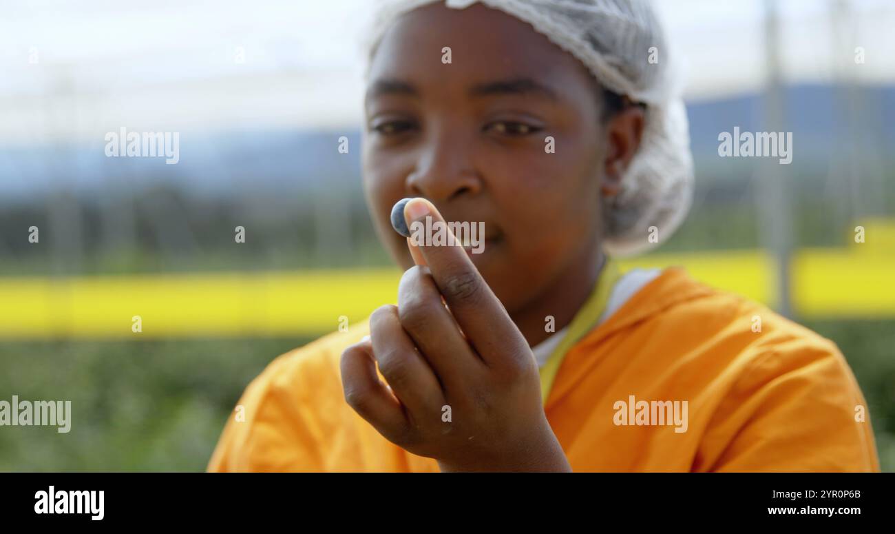 Nahaufnahme einer lächelnden ethnischen Arbeiterin, die frisch gepflückte Heidelbeere zwischen zwei Fingern zeigt Stockfoto