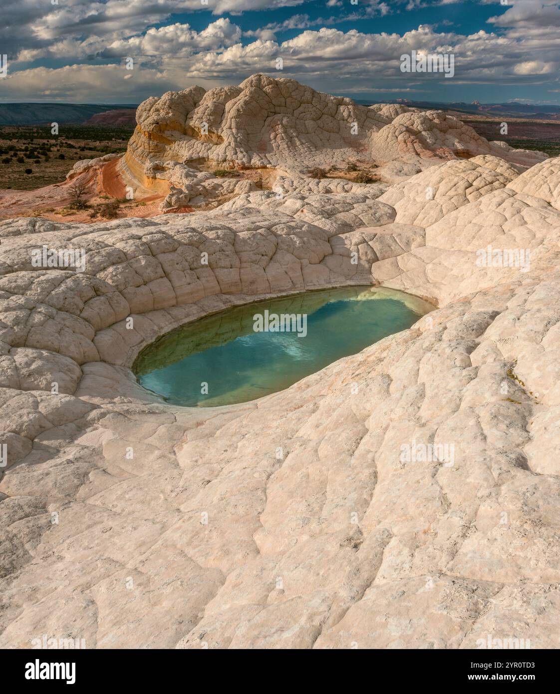 Sandstein Klippen, White Pocket, Vermillion Cliffs National Monument, Paria Plateau, Arizona Stockfoto