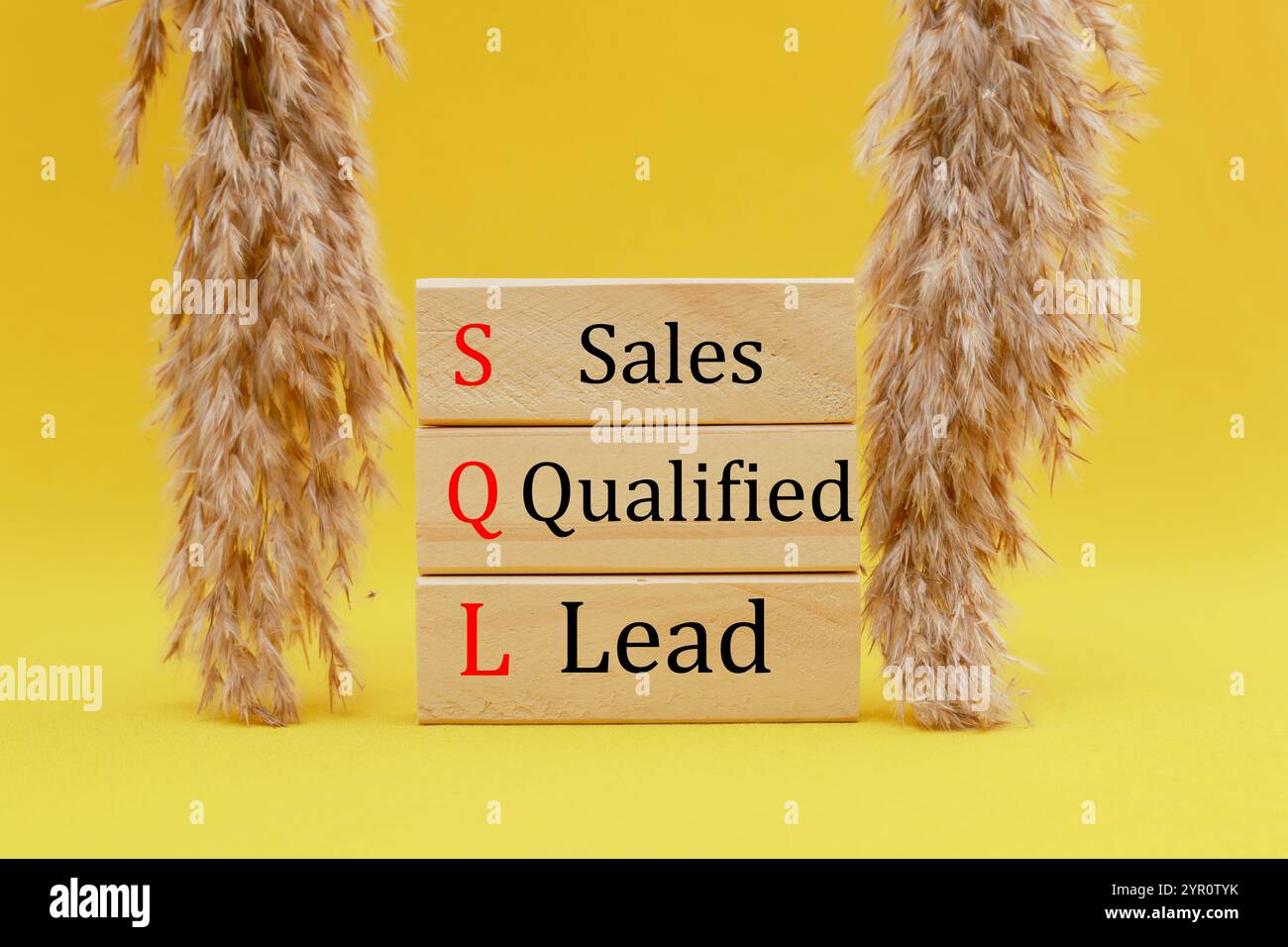 SQL - qualifizierter Lead für Vertrieb. Holzwürfel mit SQL-Wörtern. Schöner gelber Hintergrund. Business- und SQL-Konzept. Kopierbereich. Stockfoto