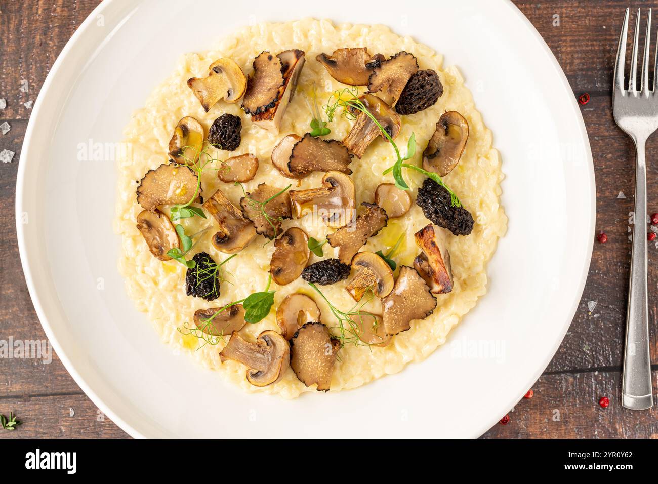 Stachelpilz-Risotto auf einer weißen Porzellanplatte, Risotto Ai funghi Stachelpilz Stockfoto