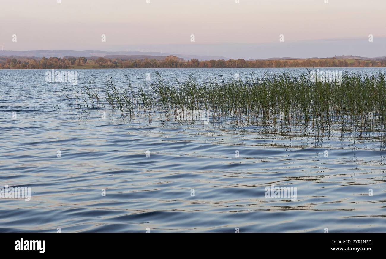 Lough Scannell in Co Leitrim an einem Sommertag Stockfoto