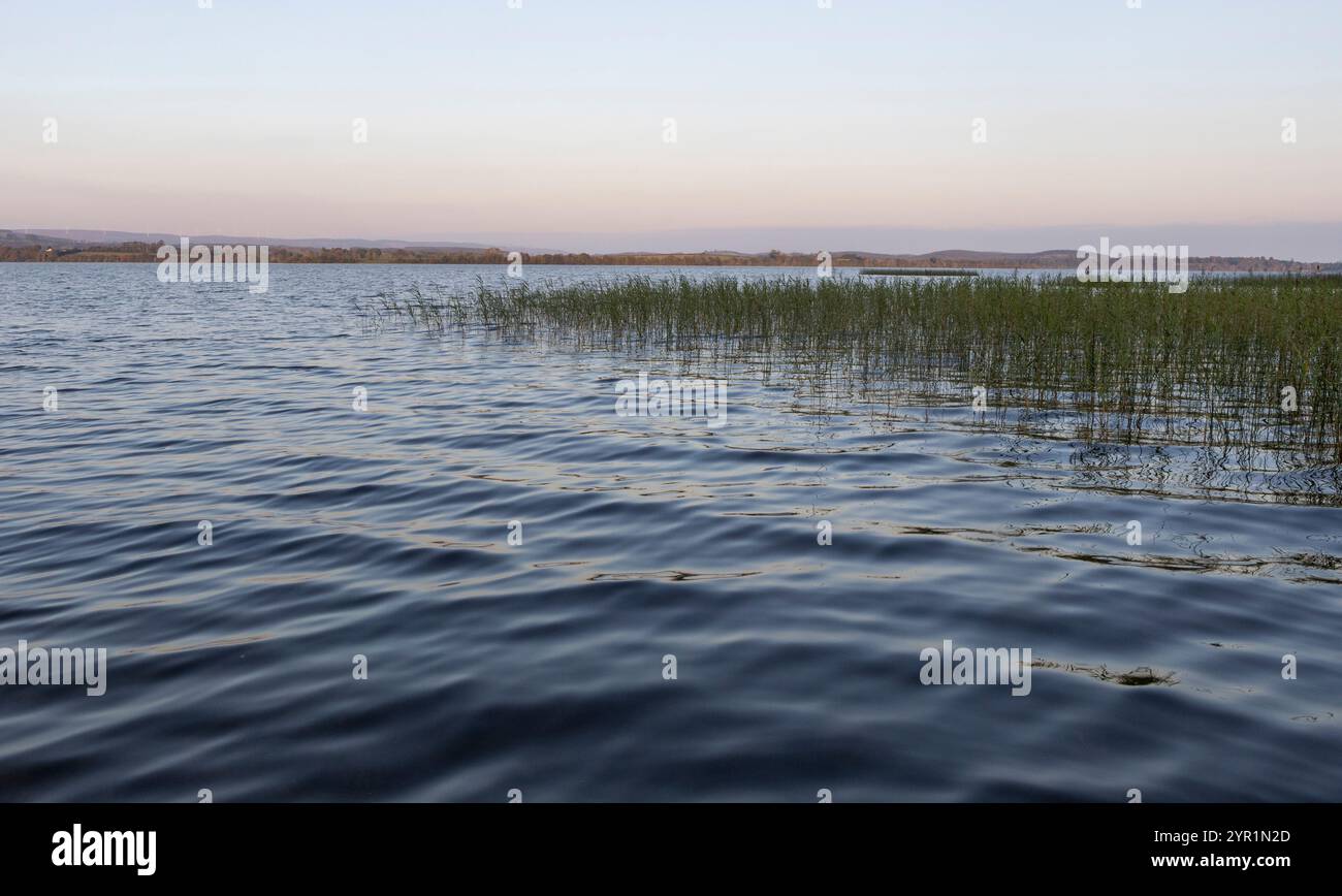 Lough Scannell in Leitrim an einem Sommertag Stockfoto