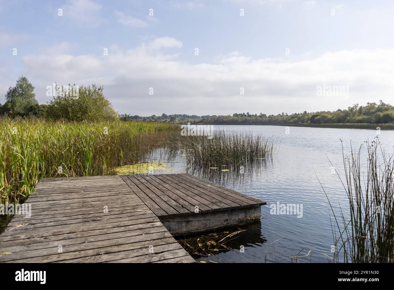 Ballinafid Lake in Co Westmeath in Irland Stockfoto