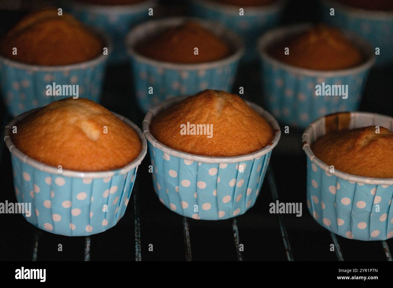 Muffins in Papierdosen, Tassenkuchen Stockfoto