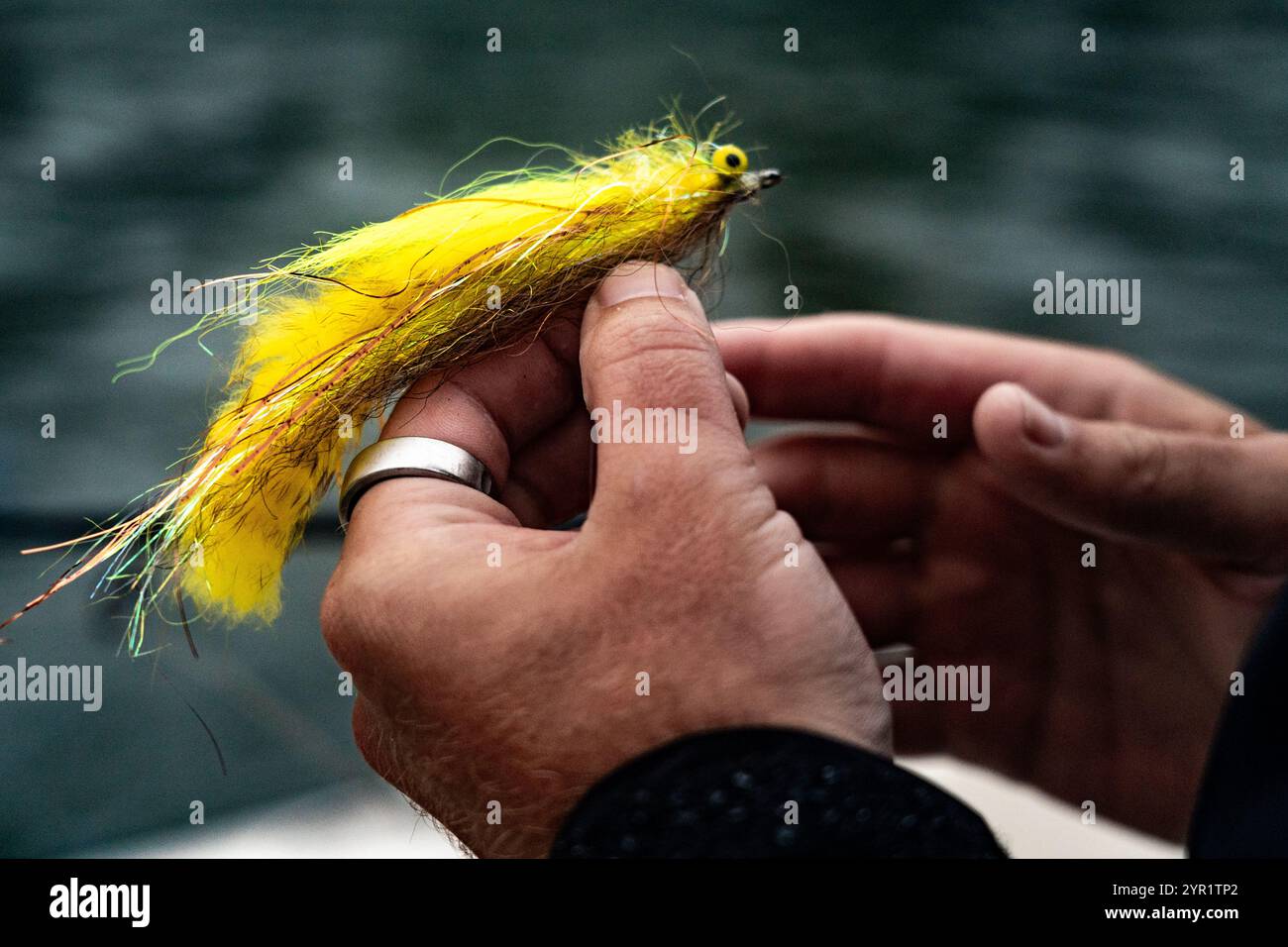 Fliegenauswahl für gestreifte Bässe Stockfoto