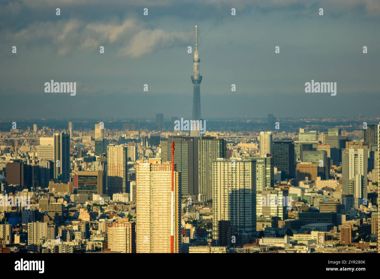 Blick auf die Stadt Tokio vom Metropolitan Government Building in Tokio, Hauptstadt Japans am 18. April 2018 Stockfoto