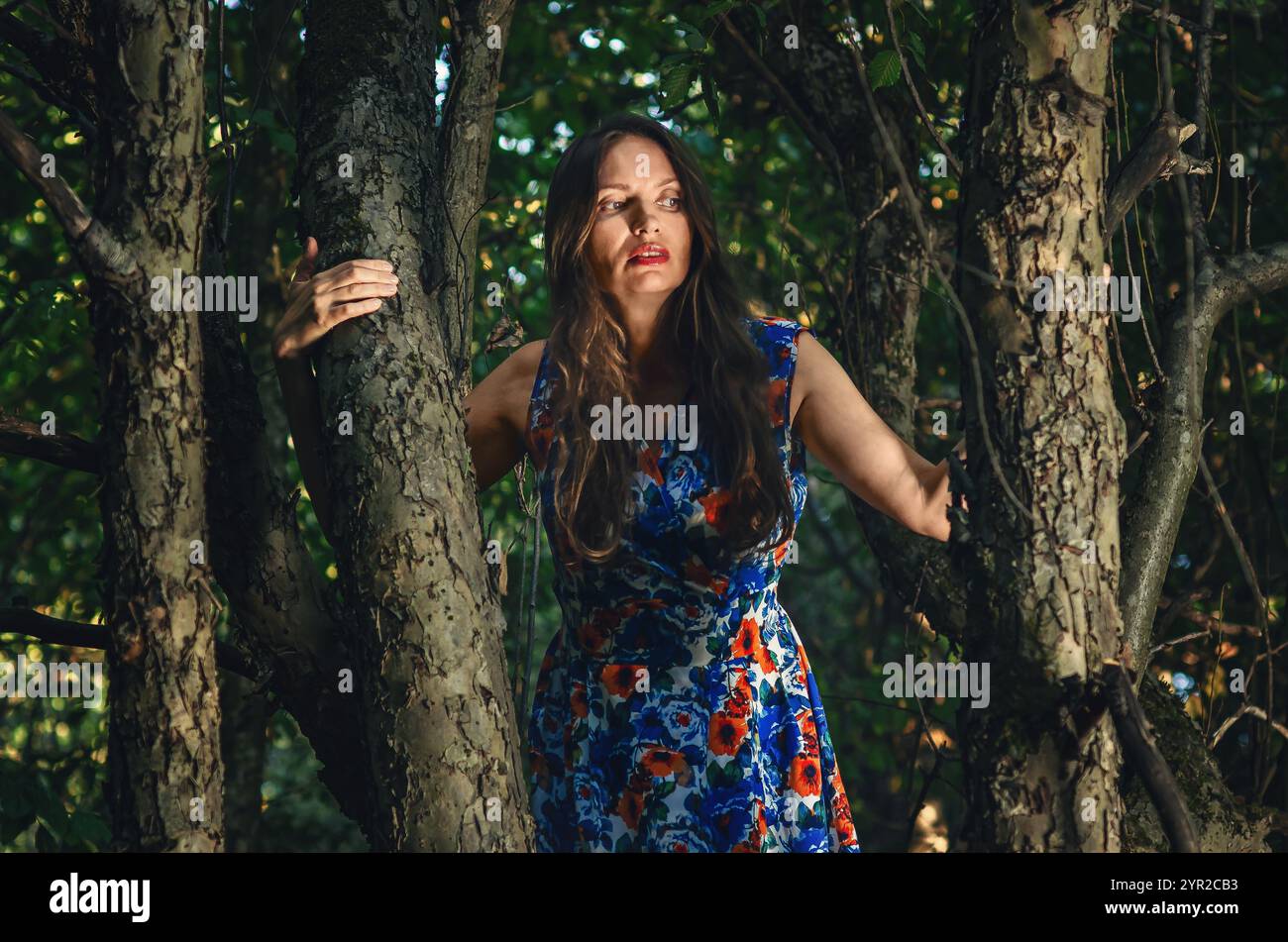 Frau im langen, bunten Kleid mit langen Haaren wie eine Hexe zwischen Bäumen im dunklen Wald. Mystische Stimmung Stockfoto