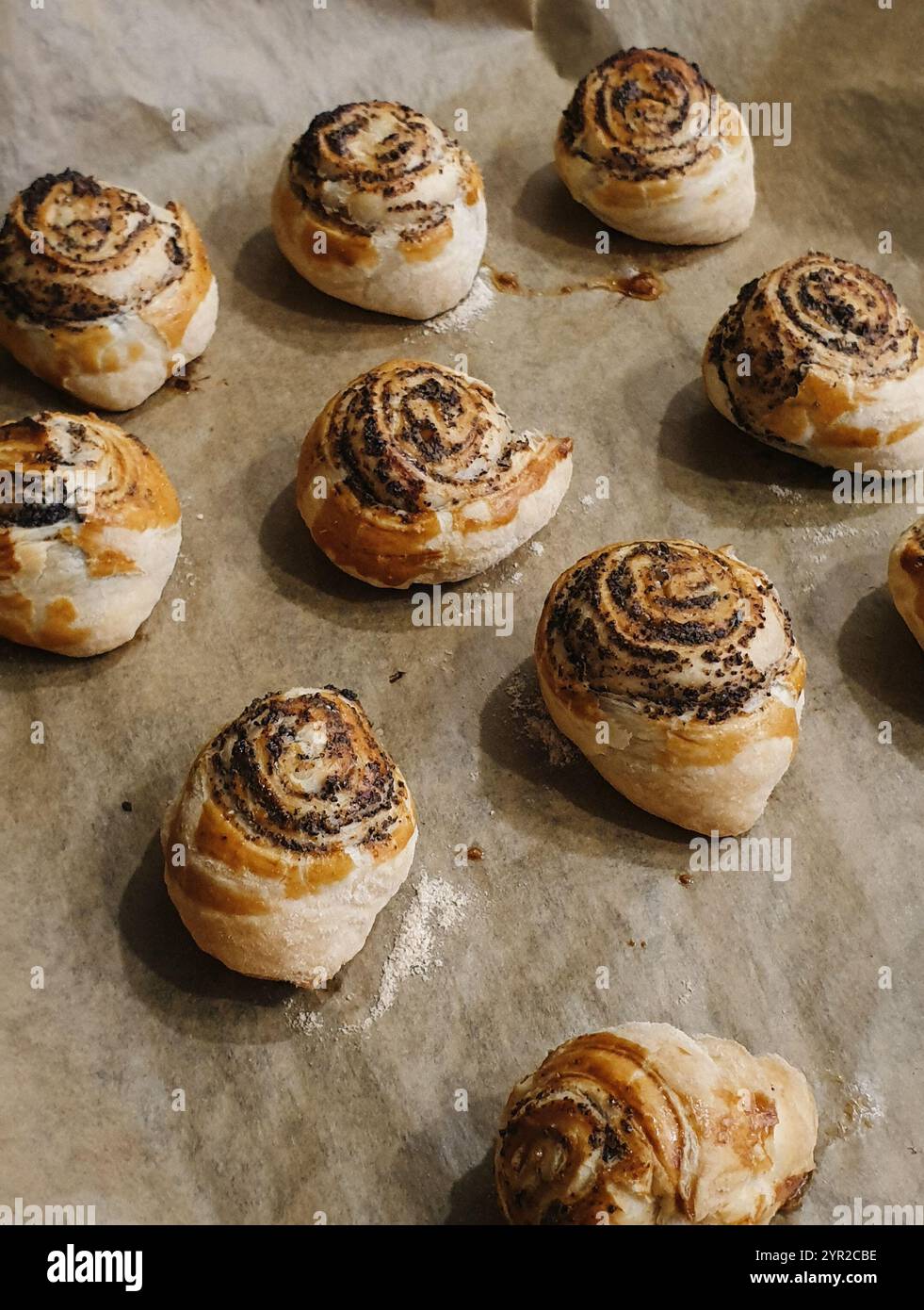 Frisch gebackene Schneckenbrötchen auf Backpapier. Hausbackidee - Gebäck mit Mohn und Zimt. Stockfoto