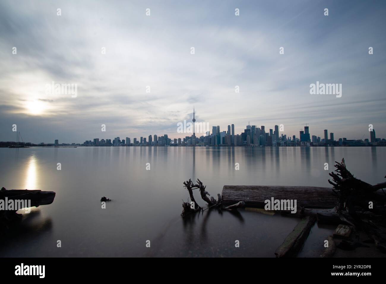 Ein umgestürzter Baum liegt in den Gewässern des Lake Ontario auf den Toronto Islands. Eine Weitwinkelaufnahme der Skyline der Stadt an einem grauen Tag. Ontario, Kanada. Stockfoto