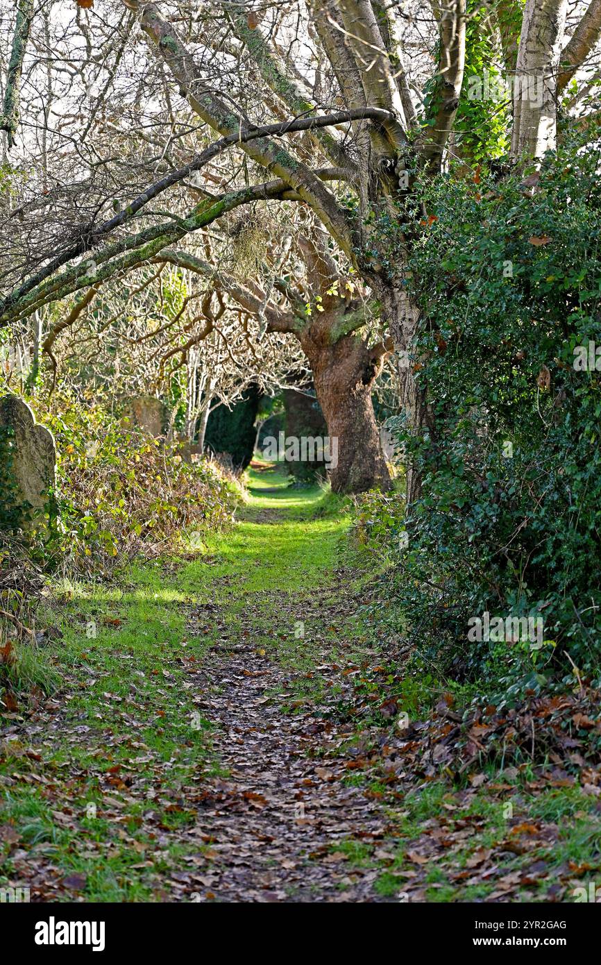 Friedhofspfad von Southampton Stockfoto