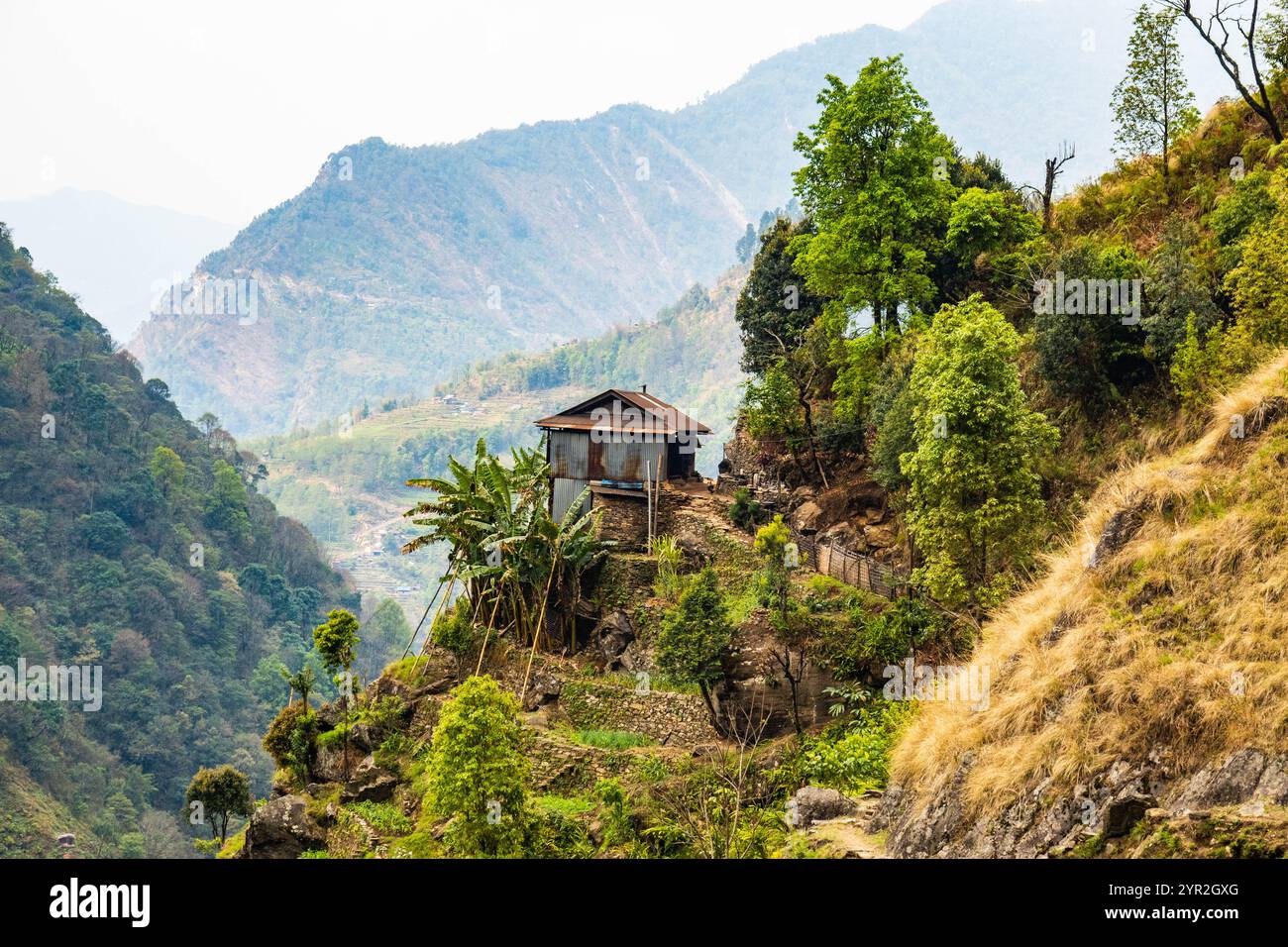Traditionelle Dorfszenen in den Ausläufern des Himalaya auf der Kangchenjunga (Kanchenjunga) Wanderung, Yamphuddin, Nepal Stockfoto