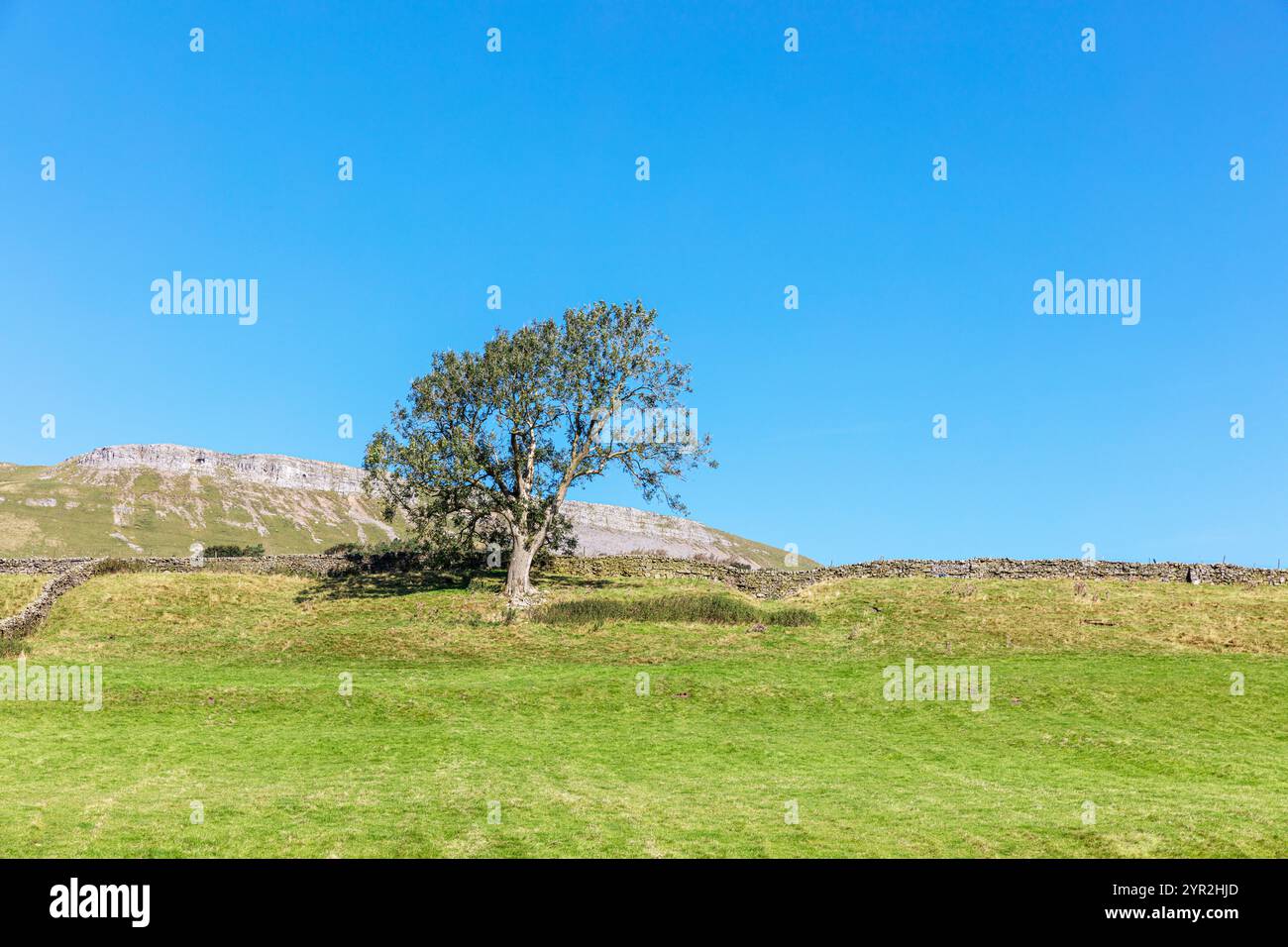 Hawes Circular Walk, Wandern, Wandern, Wandern, Yorkshire Dales, Yorkshire, Großbritannien, England, Hawes, Ackerland, Landschaft, Landwirtschaft, Bauernhof, Land, Wandern, Landschaft Stockfoto