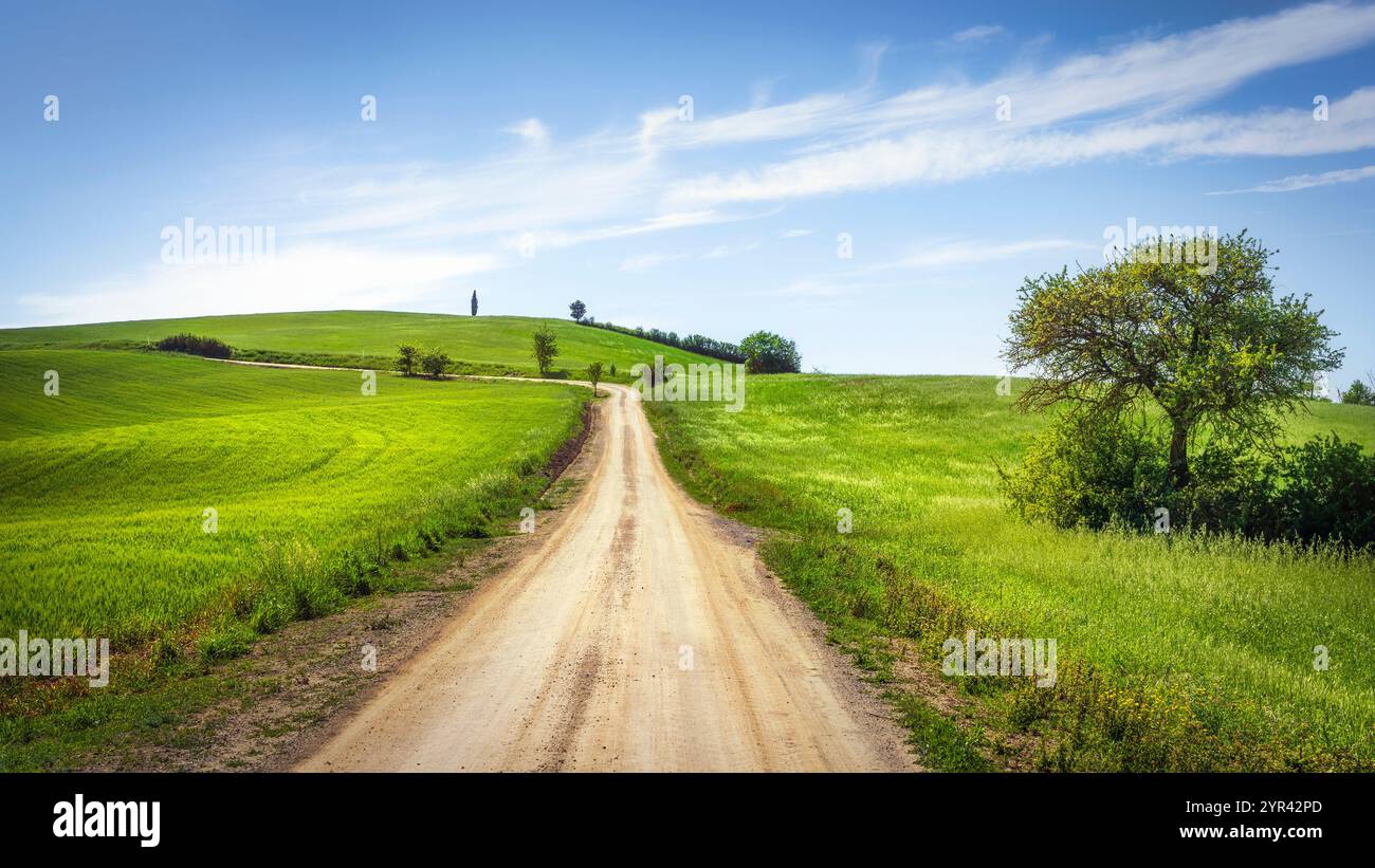 Route der Via Francigena zwischen Torrenieri und Buonconvento, Provinz Siena, Region Toskana, Italien, Europa Stockfoto