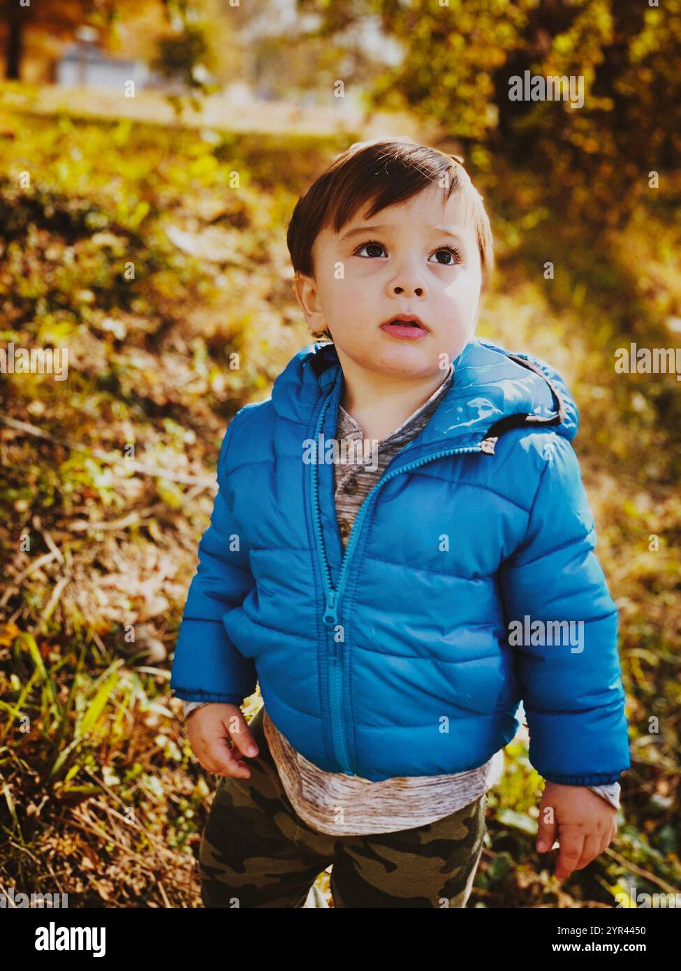 Junge im Feld stand - Smartphone-aufgenommenes Stockfoto