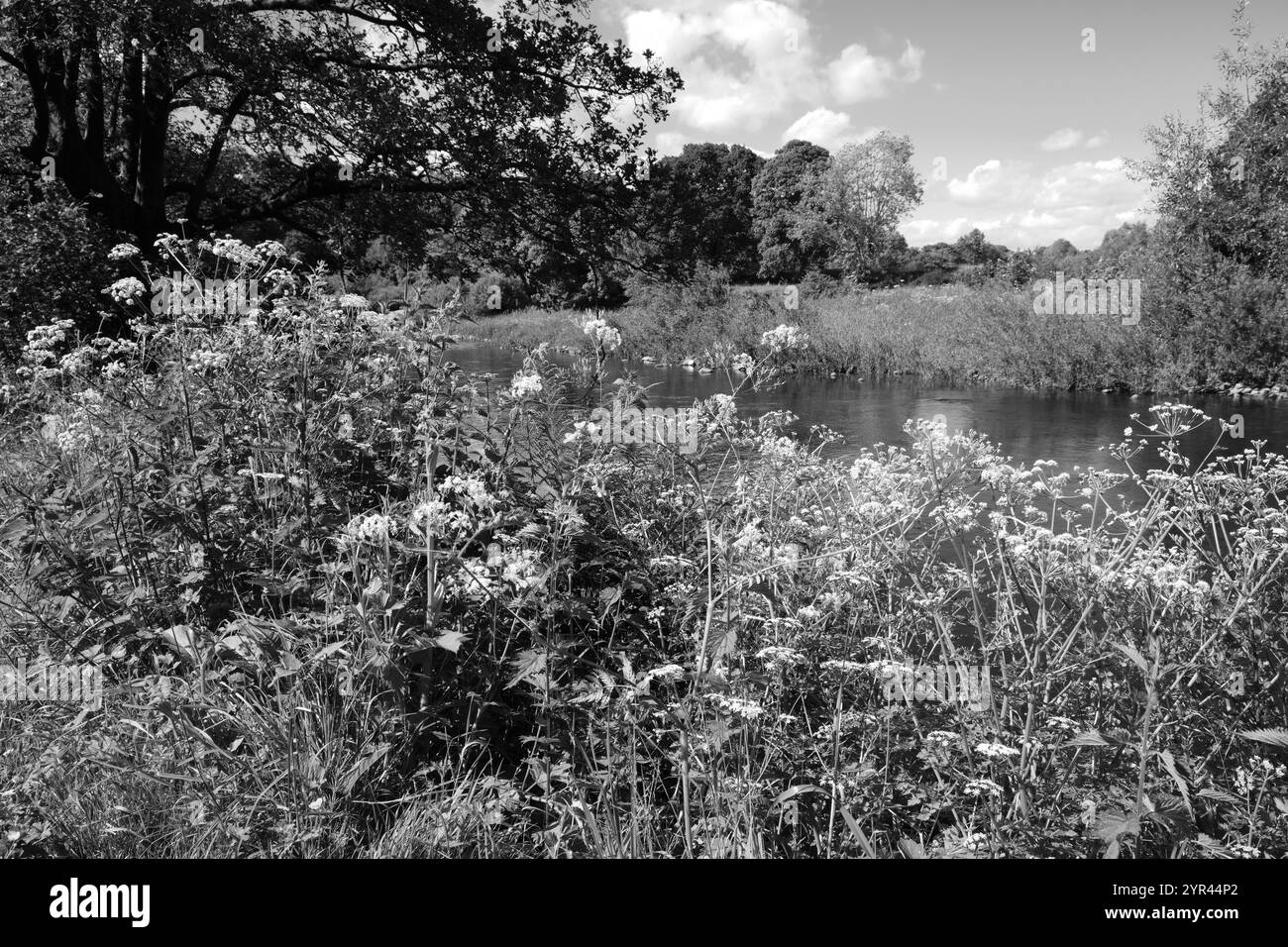 Flusslandschaft des Flusses Lune in Schwarz und weiß Stockfoto